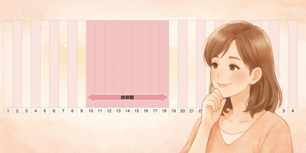 妊娠しやすい時期はいつ？排卵の予測とからだのサインでタイミングをつかむ