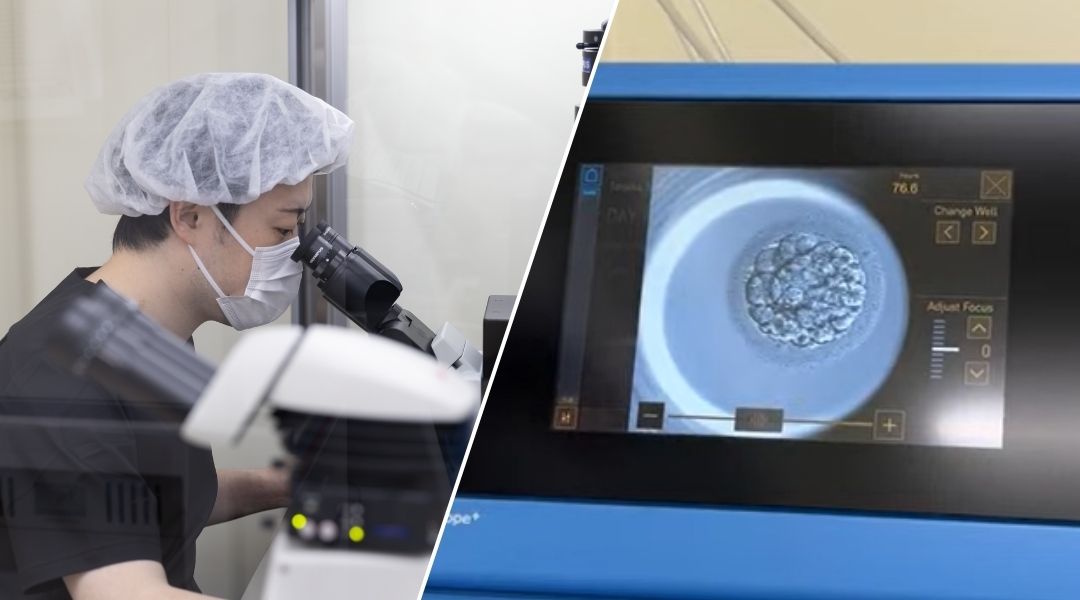 顕微鏡で作業する培養士と、モニターに映し出された胚
