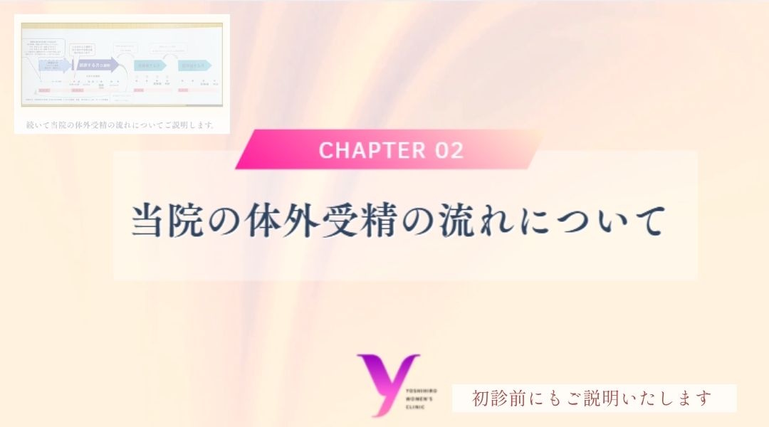 説明スライド「当院の体外受精の流れについて」