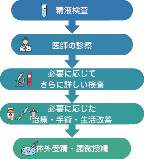 精液検査、医師の診察、必要に応じた詳しい検査、治療・手術・生活改善、体外受精・顕微授精へと進む流れの図