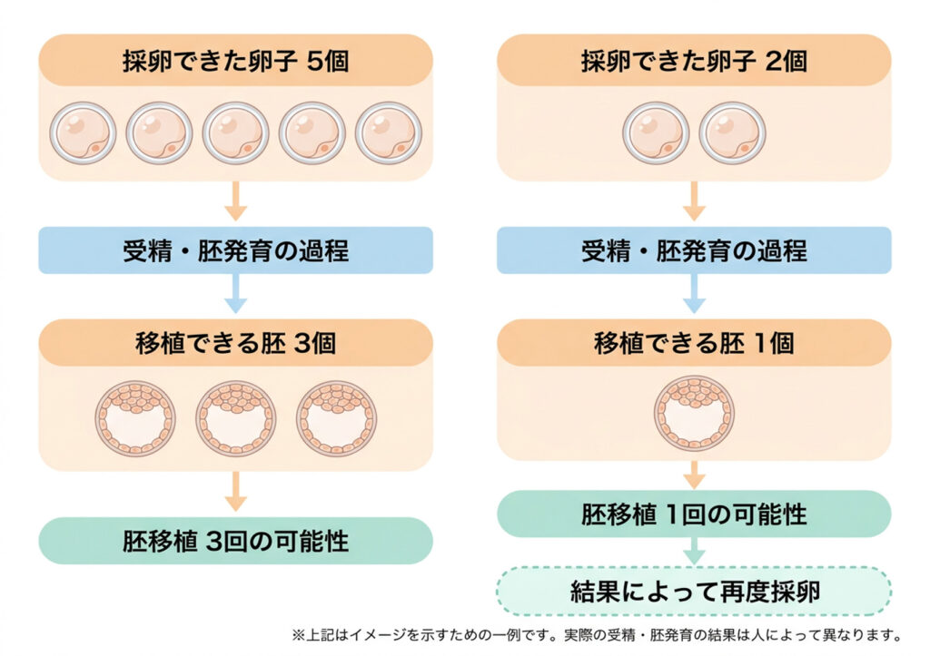 採卵できた卵子が5個の場合と2個の場合で、移植できる胚の数と胚移植の回数がどう変わるかを示した図