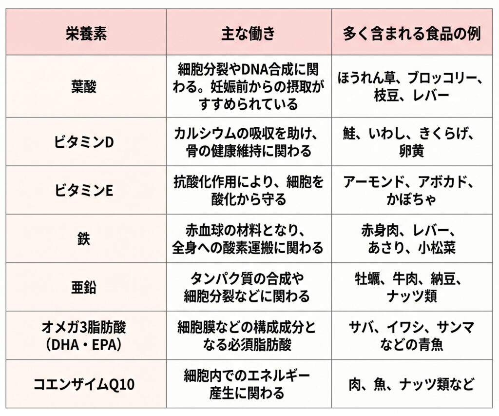 妊活期に意識したい主な栄養素の例