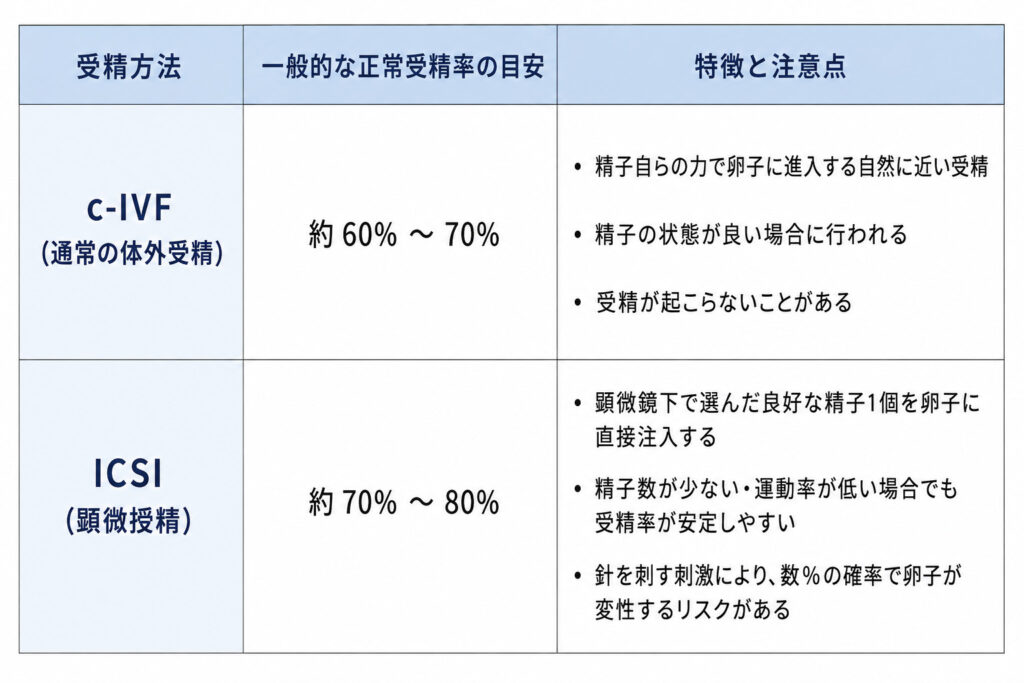 一般的な体外受精(ふりかけ法)と顕微授精の、正常受精率の目安と特徴を比べた表